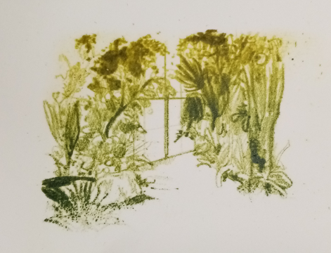 ' Into the greenery' MINI