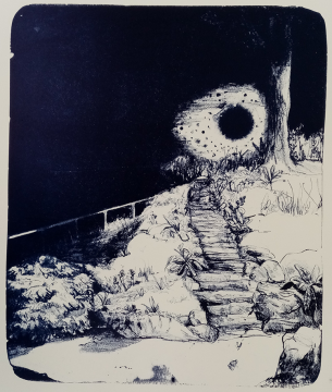 'Nightsky Rock Garden'