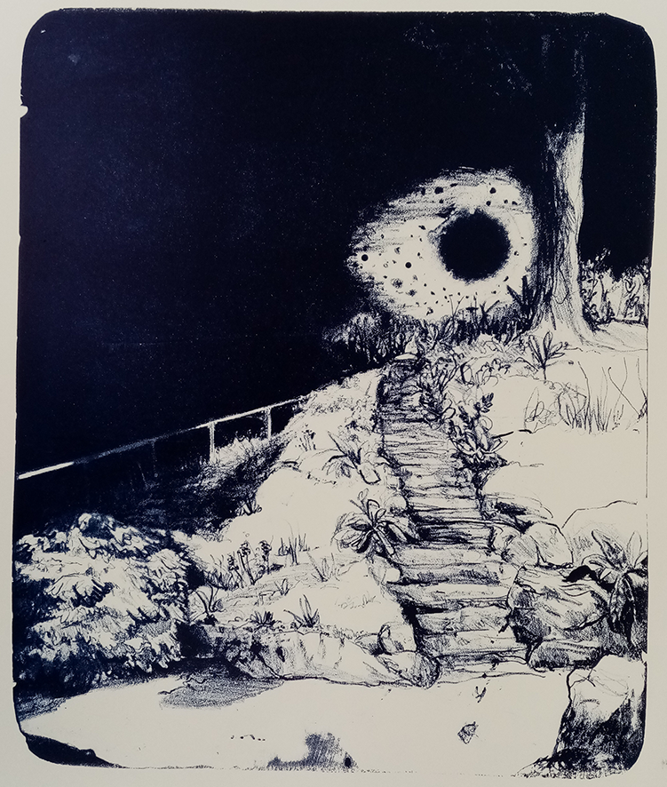 'Nightsky Rock Garden'